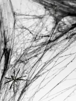 Pavučina - HALLOWEEN - čierna s pavúkmi, 60 gram. syntetické vlákno