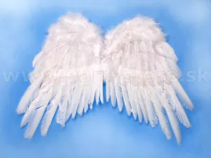 Krídla - ANJEL OFANIEL - biele, 53 x 37 cm, originálne perie